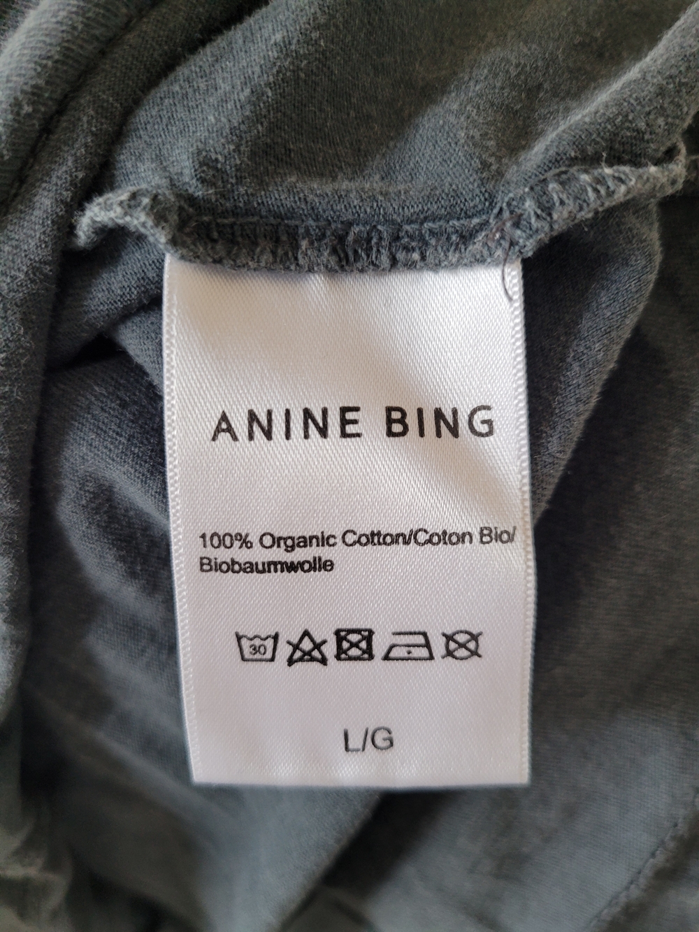 ANINE BING Graphic Eagle Tee in Charcoal with Rust Logo - Picture 2 of 8